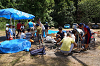 camp30 (148)_thumb.png